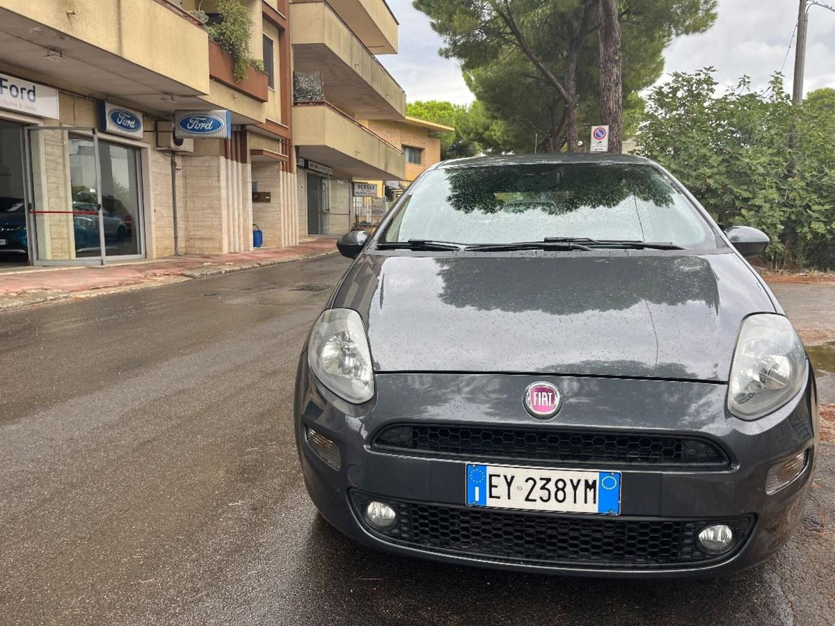 Fiat Punto 1.3 MJT II 75 CV 5 porte Young (2)