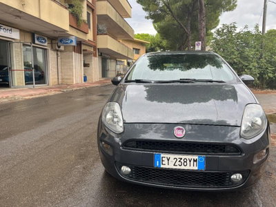 Fiat Punto 1.3 MJT II 75 CV 5 porte Young (2)