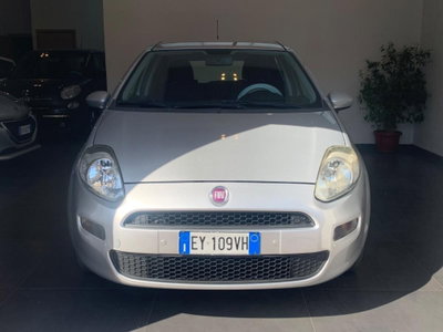 Fiat Punto 1.4 8V 5 porte Easypower Street usata