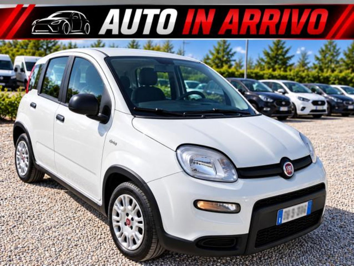 Fiat Panda 1.0 FireFly S&S Hybrid