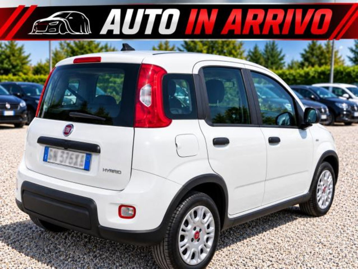 Fiat Panda 1.0 FireFly S&S Hybrid (2)
