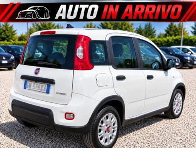 Fiat Panda 1.0 FireFly S&S Hybrid (2)
