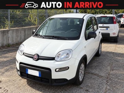 Fiat Panda 1.0 FireFly S&S Hybrid