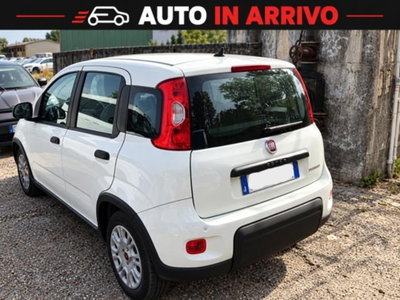 Fiat Panda 1.0 FireFly S&S Hybrid (2)