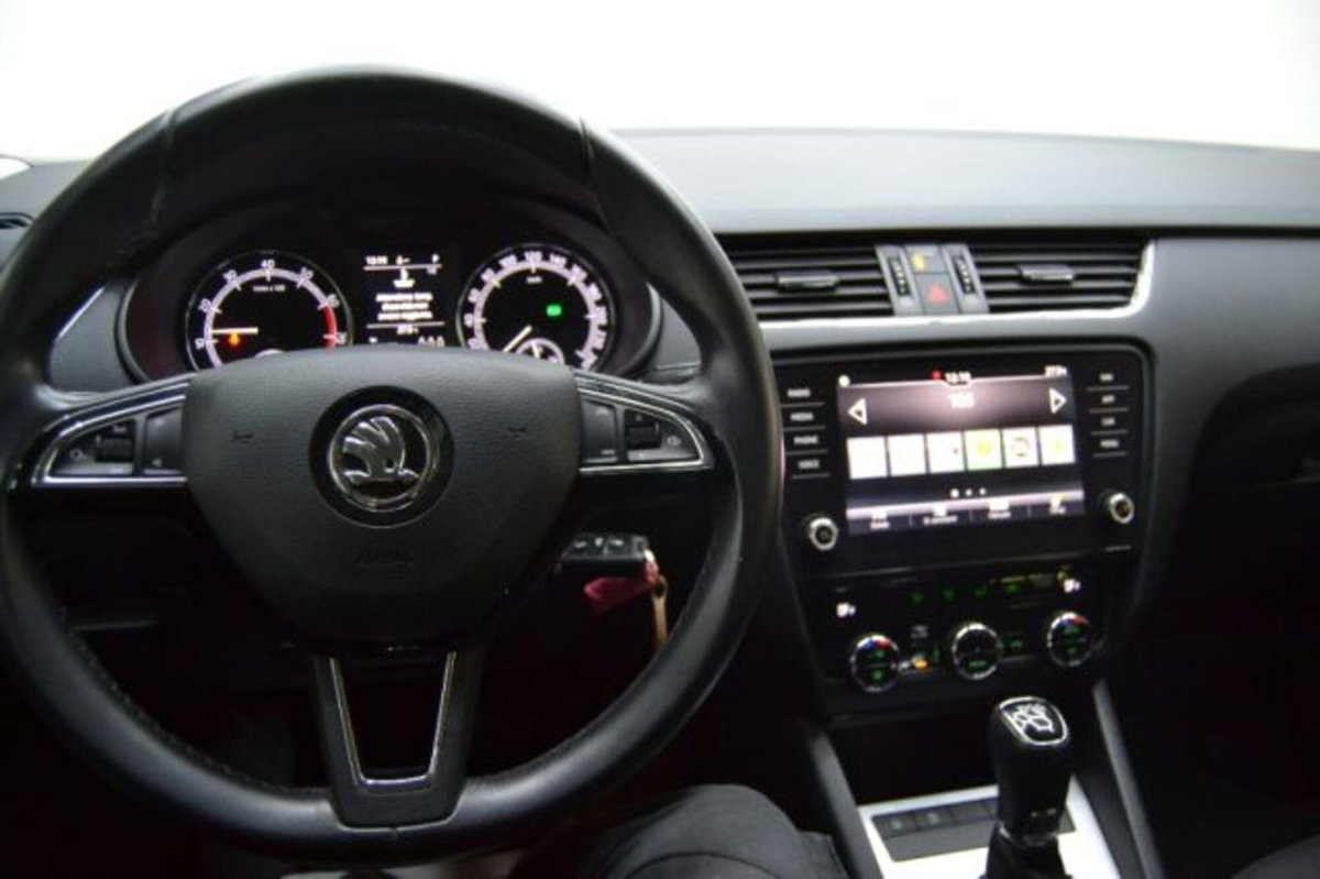Skoda Octavia Station Wagon 1.5 G-TEC DSG Wagon Ambition (15)