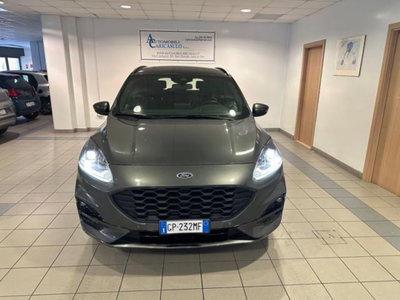 Ford Kuga 2.0 EcoBlue 120 CV aut. 2WD ST-Line X (2)