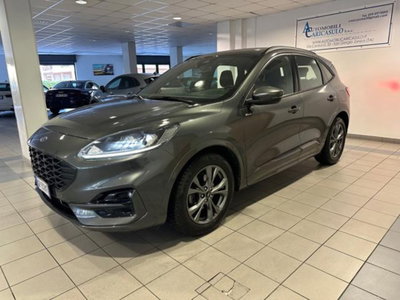 Ford Kuga 2.0 EcoBlue 120 CV aut. 2WD ST-Line X (3)
