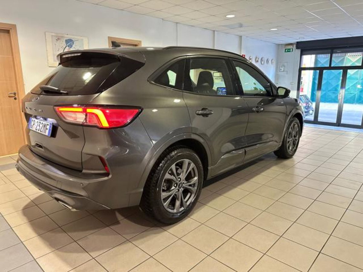 Ford Kuga 2.0 EcoBlue 120 CV aut. 2WD ST-Line X (4)