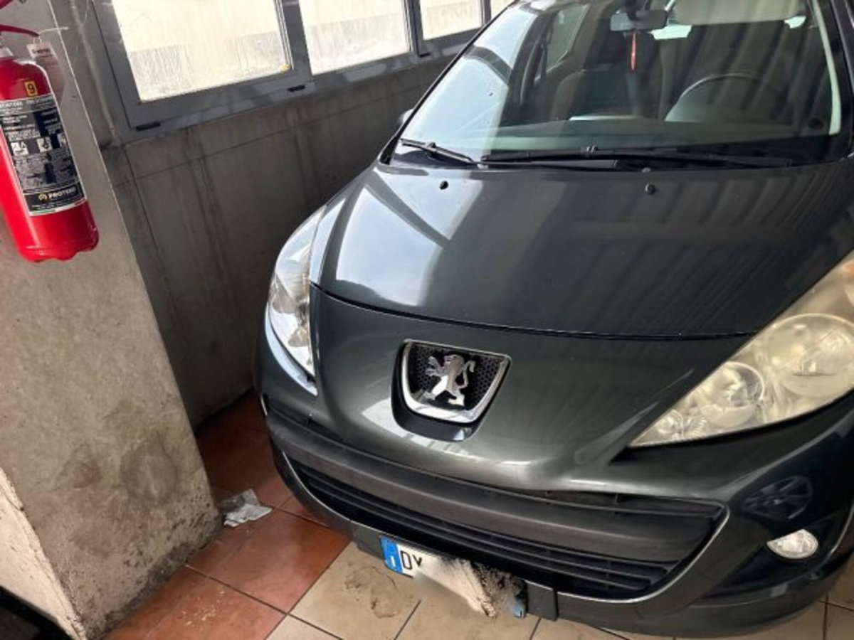 Peugeot 207 SW 8V 75CV X Line ECO GPL (3)