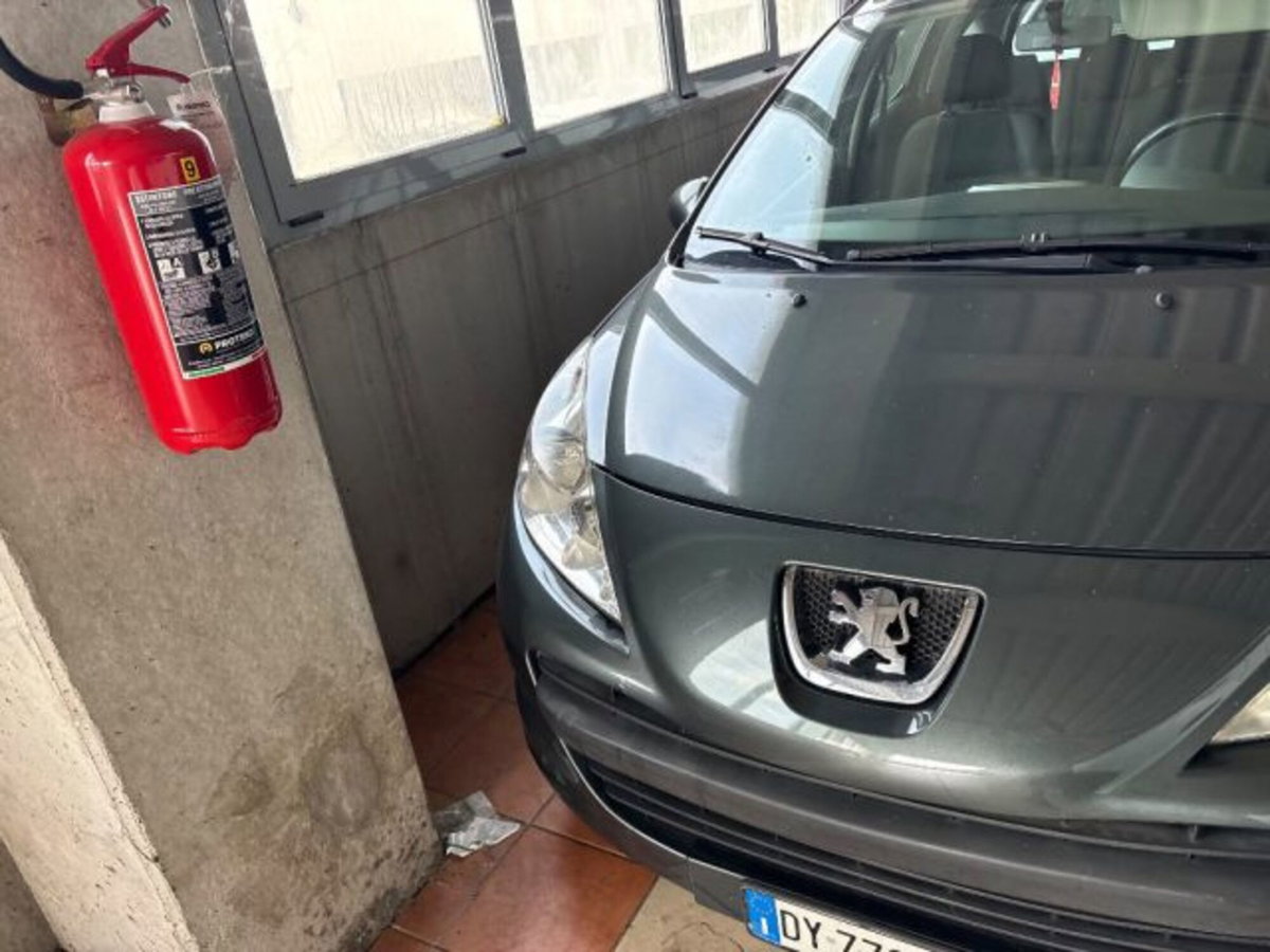 Peugeot 207 SW 8V 75CV X Line ECO GPL (4)