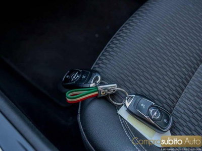 Opel Insignia Station Wagon CDTI 4x4 170CV Start&Stop Sports Cosmo (8)