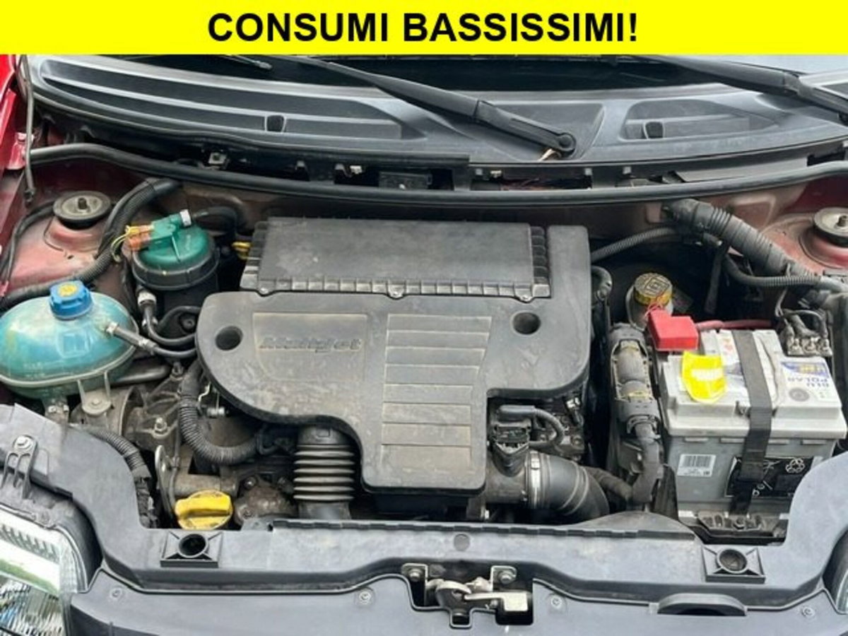Fiat Panda 1.3 MJT 16V 4x4 (10)