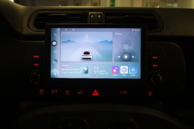 Fiat Panda 1.3 MJT 80 CV S&S 4x4 (15)