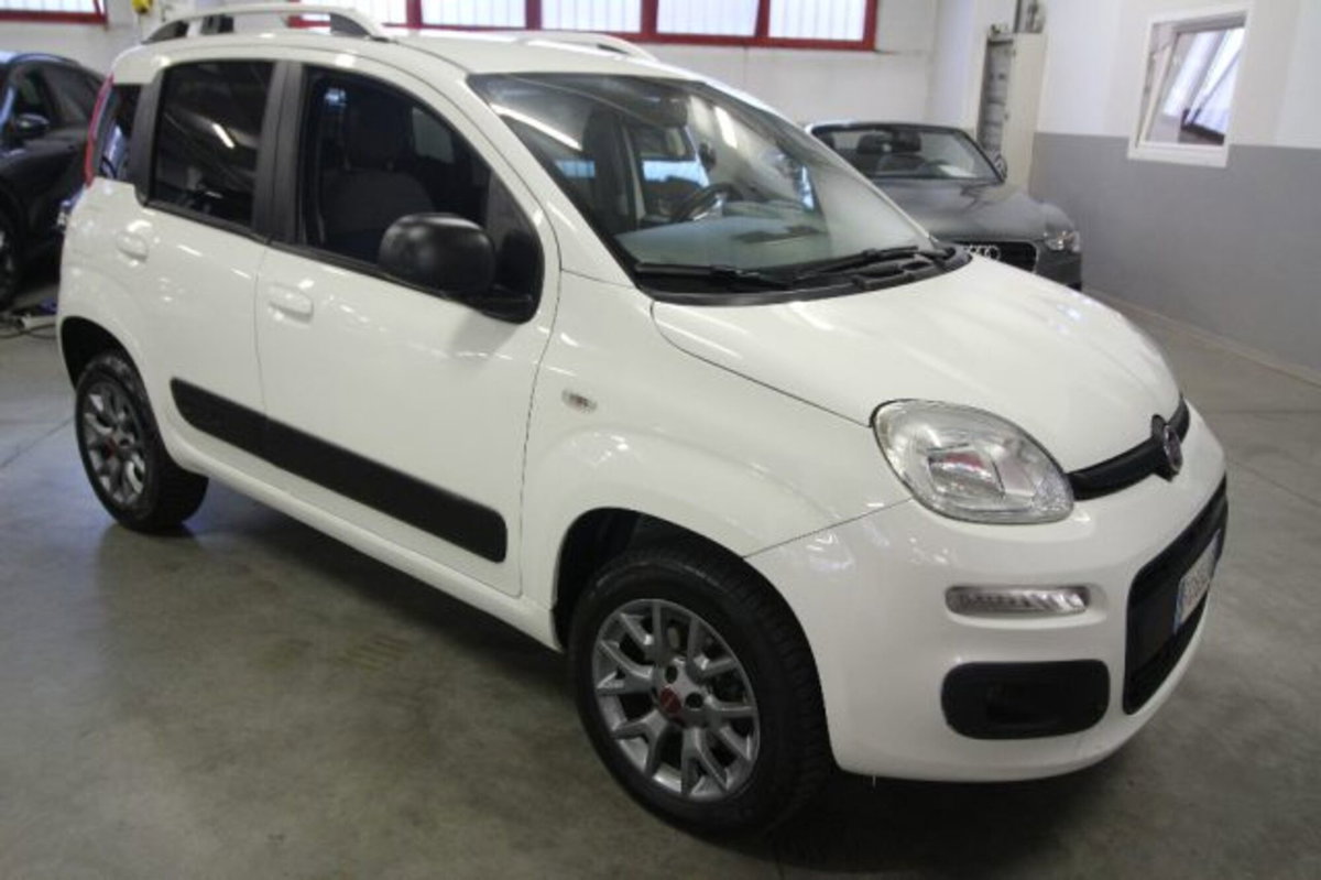 Fiat Panda 1.3 MJT 80 CV S&S 4x4 (3)