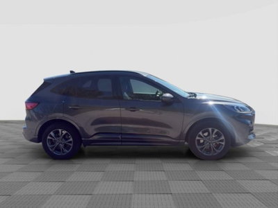 Ford Kuga 2.5 Plug In Hybrid 225 CV CVT 2WD ST-Line (6)