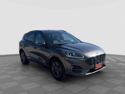 Ford Kuga 2.5 Plug In Hybrid 225 CV CVT 2WD ST-Line (7)