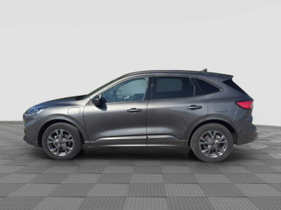 Ford Kuga 2.5 Plug In Hybrid 225 CV CVT 2WD ST-Line (2)