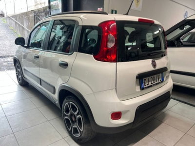 Fiat Panda 1.0 firefly hybrid s&s 70cv 5p.ti (4)