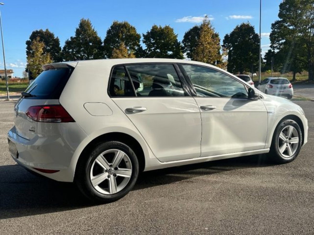 Volkswagen Golf 1.4 TGI DSG 5p. Executive BlueMotion (5)