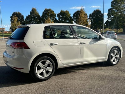 Volkswagen Golf 1.4 TGI DSG 5p. Executive BlueMotion (5)