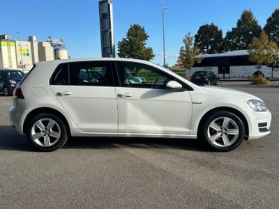 Volkswagen Golf 1.4 TGI DSG 5p. Executive BlueMotion (7)