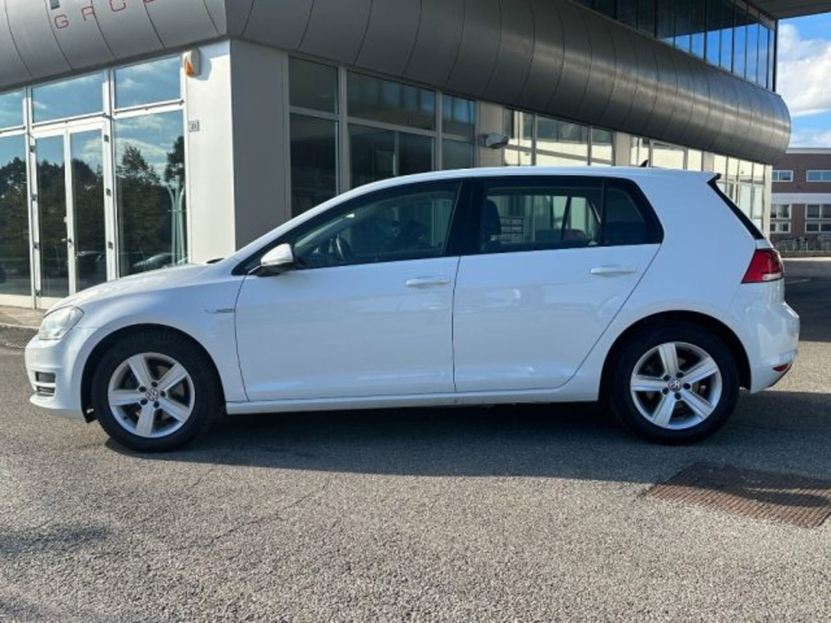 Volkswagen Golf 1.4 TGI DSG 5p. Executive BlueMotion (8)