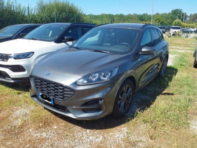 Ford Kuga 2.0 EcoBlue 120 CV aut. 2WD ST-Line X usata