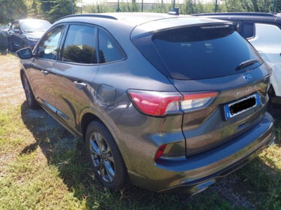 Ford Kuga 2.0 EcoBlue 120 CV aut. 2WD ST-Line X (2)