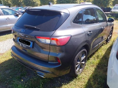 Ford Kuga 2.0 EcoBlue 120 CV aut. 2WD ST-Line X (3)