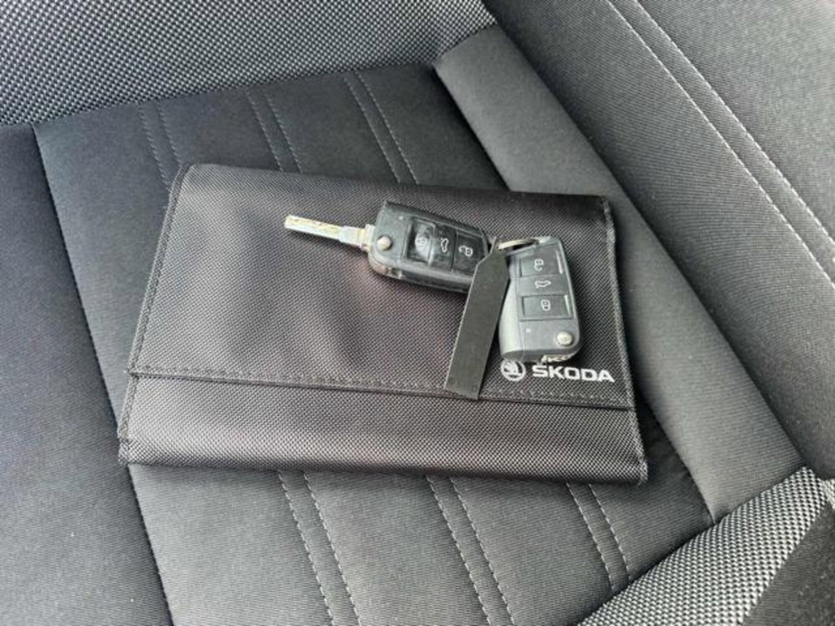 Skoda Octavia Station Wagon 1.5 G-TEC DSG Wagon Style (16)
