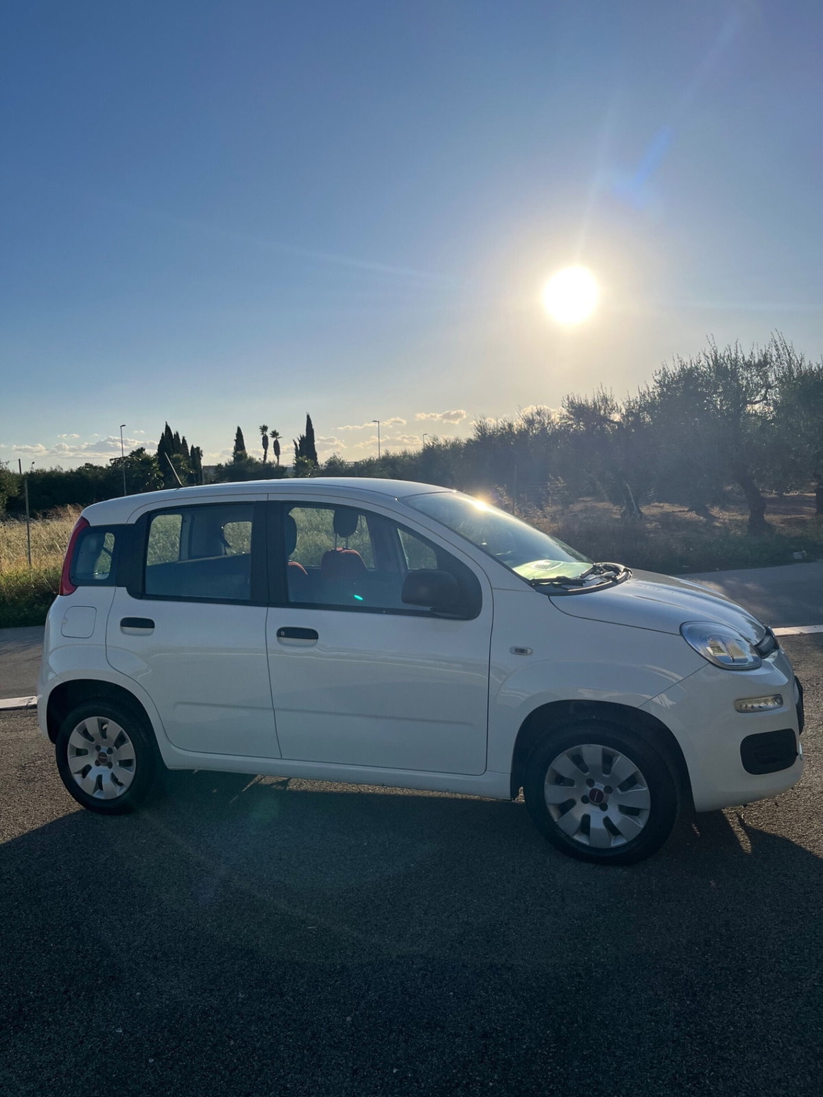 Fiat Panda 1.2 (10)