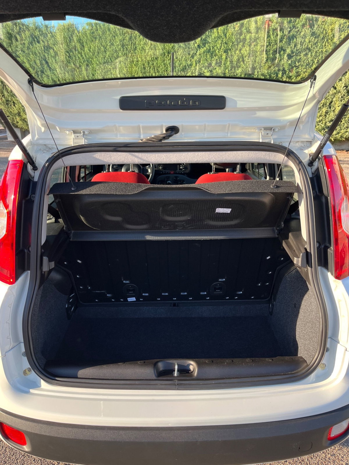 Fiat Panda 1.2 (12)