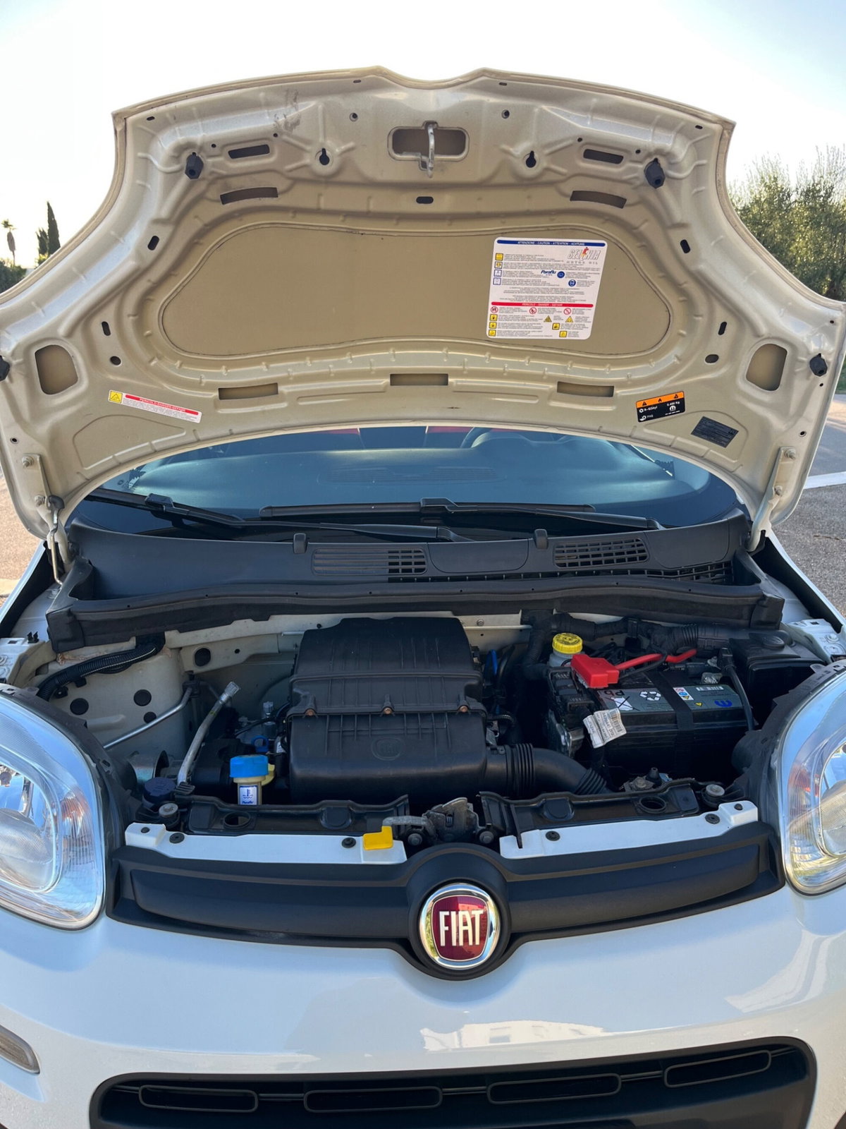 Fiat Panda 1.2 (13)
