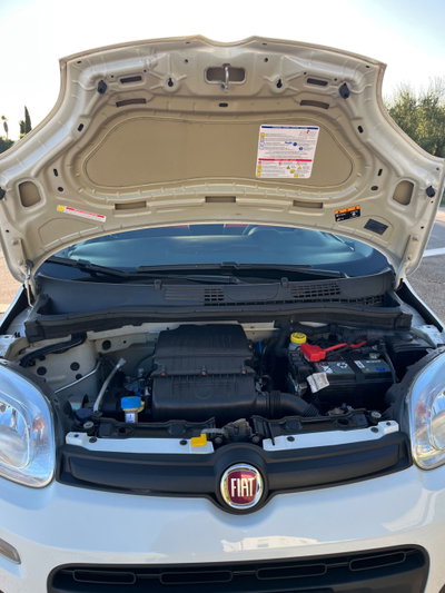Fiat Panda 1.2 (13)