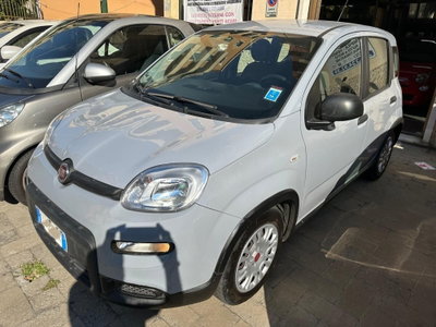 Fiat Panda 1.0 FireFly S&S Hybrid (2)