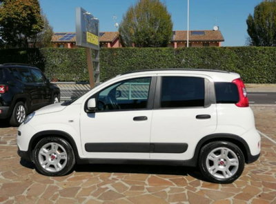 Fiat Panda 1.0 firefly hybrid s&s 70cv 5p.ti (4)