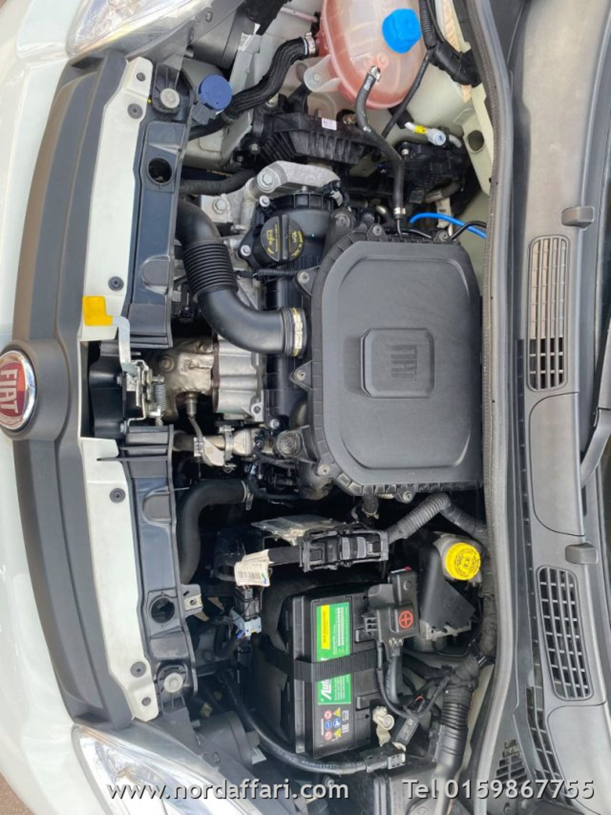 Fiat Panda 1.0 firefly hybrid s&s 70cv 5p.ti (17)