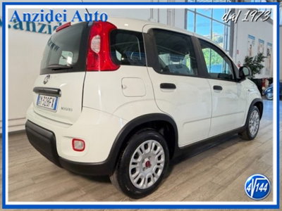 Fiat Panda 1.0 firefly hybrid s&s 70cv 5p.ti (6)