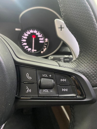 Alfa Romeo Stelvio Stelvio 2.2 Turbodiesel 190 CV AT8 Q4 Executive (13)