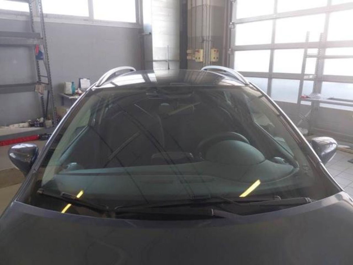 Renault Clio Sporter dCi 8V 75 CV Business (20)