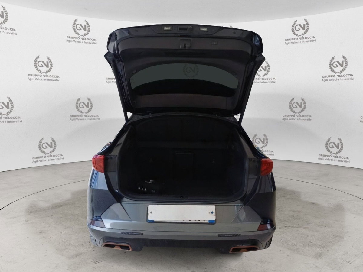 Cupra Formentor Formentor 2.0 tdi 4drive 150cv dsg (11)