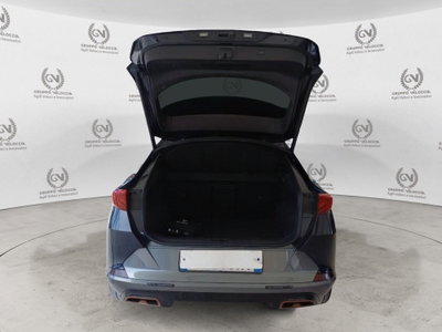 Cupra Formentor Formentor 2.0 tdi 4drive 150cv dsg (11)