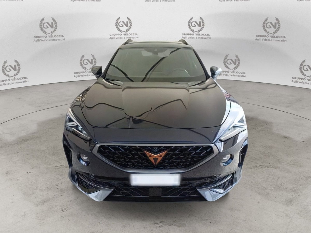 Cupra Formentor Formentor 2.0 tdi 4drive 150cv dsg (3)