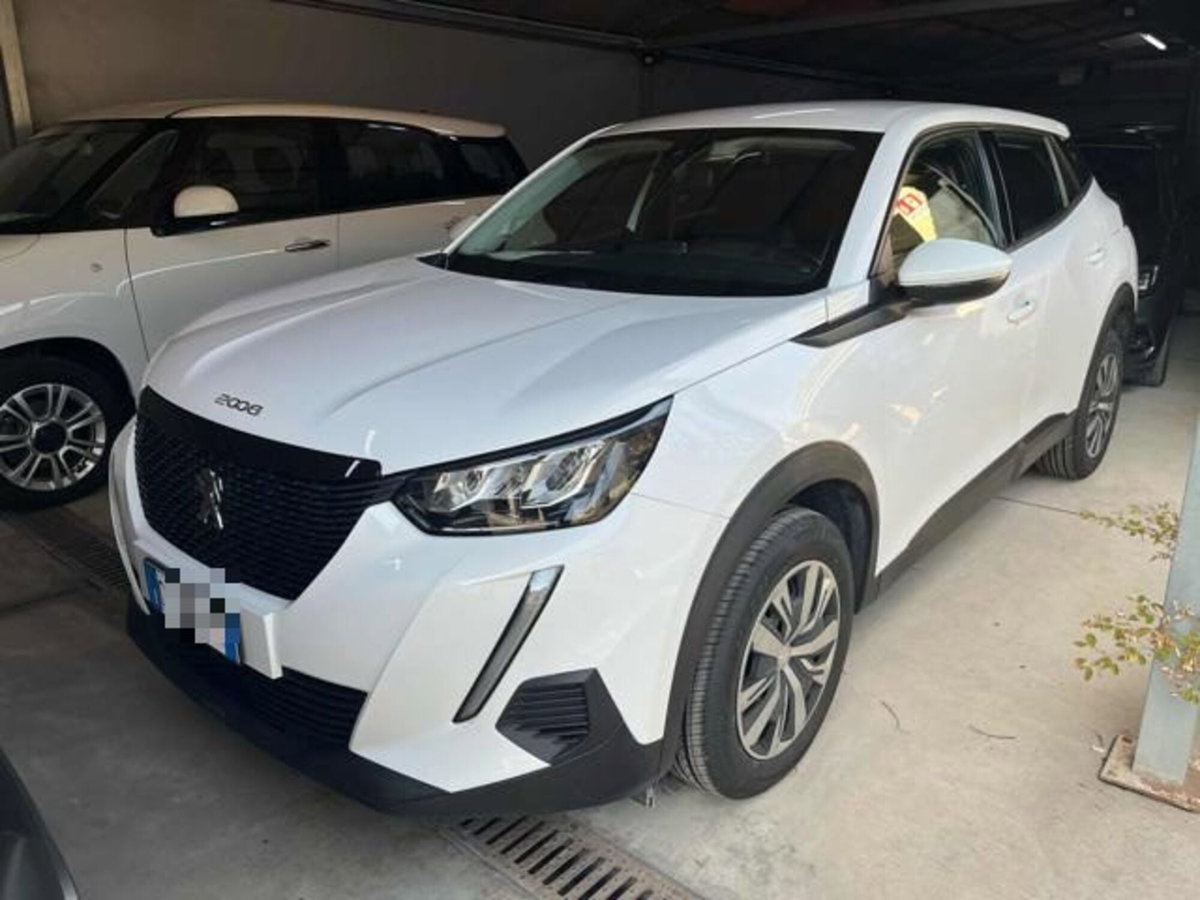 Peugeot 2008 PureTech 100 S&S Active (2)