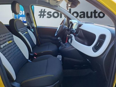 Fiat Panda Cross 1.0 firefly hybrid Cross s&s 70cv 5p.ti (15)