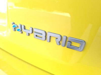 Fiat Panda Cross 1.0 firefly hybrid Cross s&s 70cv 5p.ti (20)
