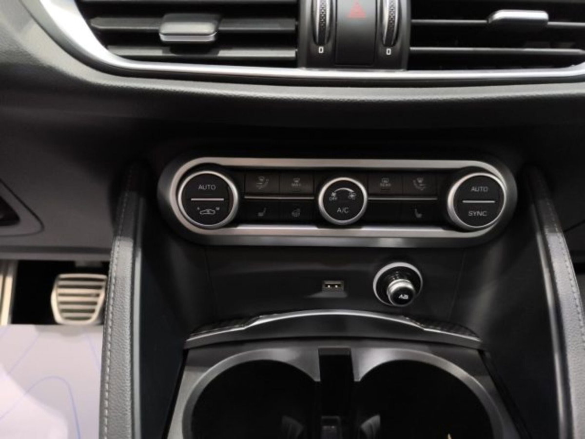 Alfa Romeo Stelvio Stelvio 2.2 Turbodiesel 210 CV AT8 Q4 Veloce Tì (19)