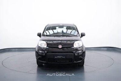 Fiat Panda 1.0 firefly hybrid s&s 70cv 5p.ti (2)