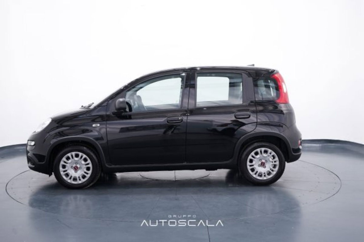 Fiat Panda 1.0 firefly hybrid s&s 70cv 5p.ti (3)