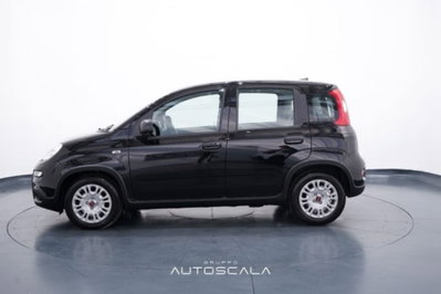 Fiat Panda 1.0 firefly hybrid s&s 70cv 5p.ti (3)